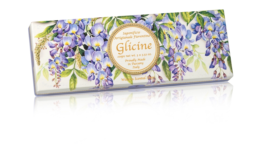 Glicine-wisteria-3x100-ZCP90